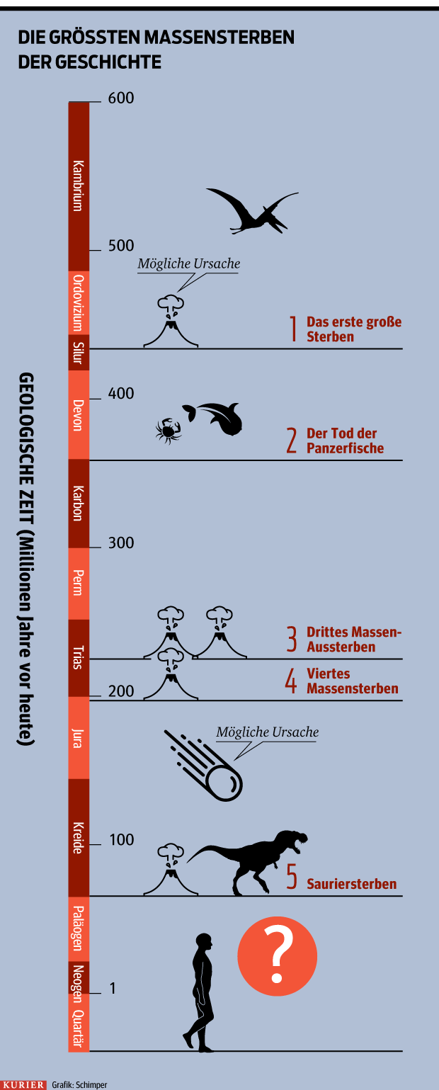 L St Der Mensch Das Sechste Massensterben Aus