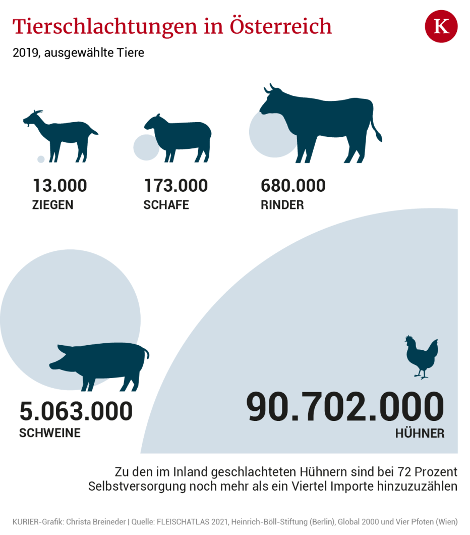 Klimafaktor Fleisch So Viele Tiere Werden Bei Uns Geschlachtet