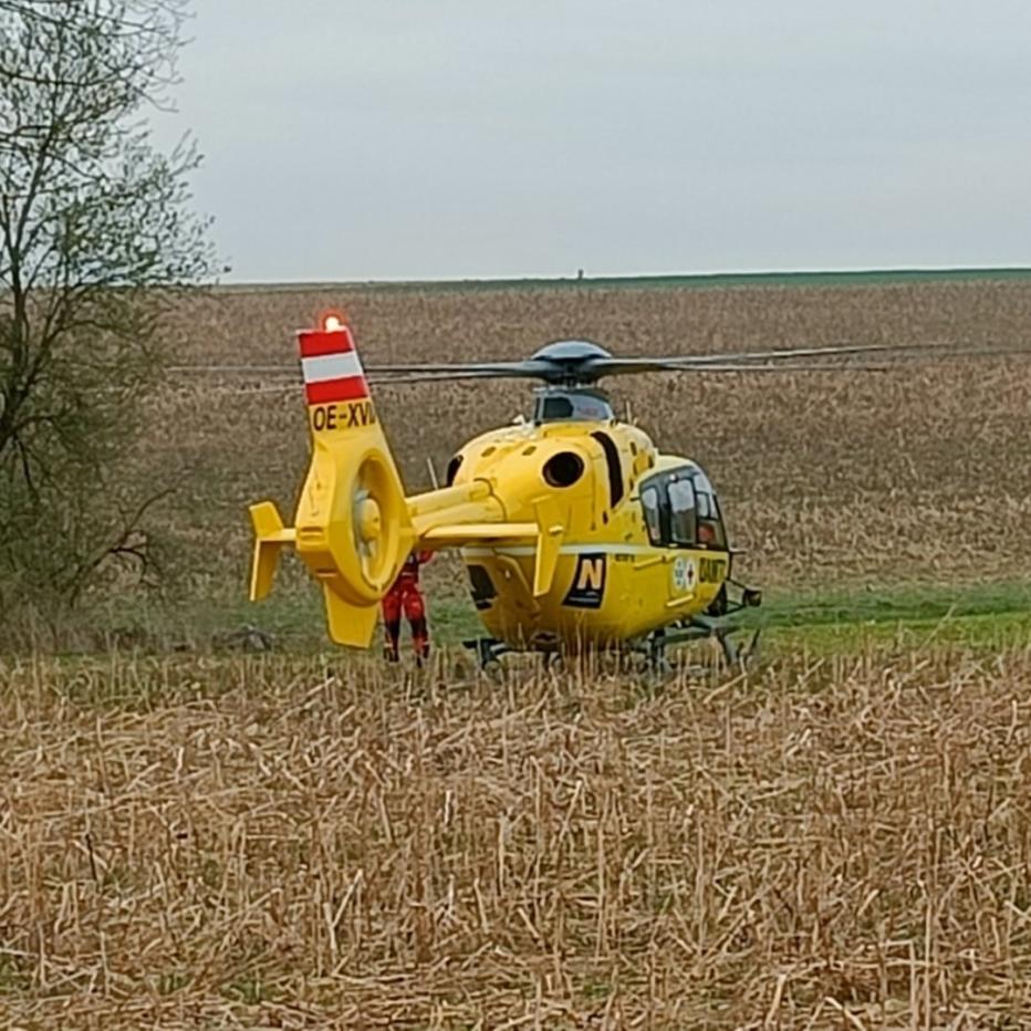 Feuerwehren In Nieder Sterreich Zu Mensch Und Tierrettungen Gerufen