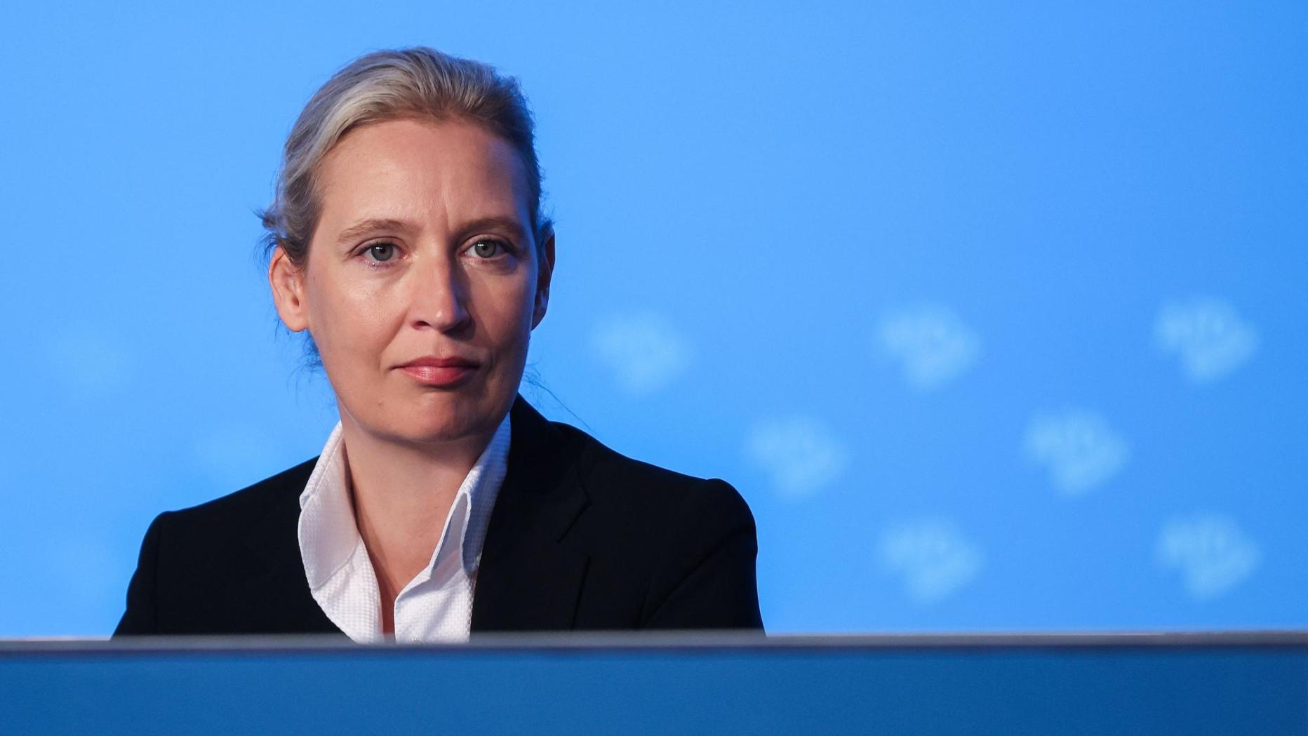 AfD Chefin Alice Weidel Lesbisch Aber Nicht Queer