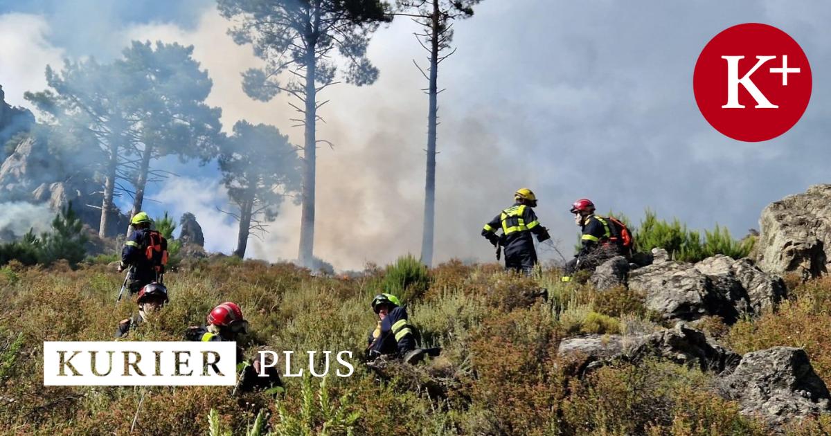 Niederösterreicher auf Löschmission in Korsika Brandstifter am Werk