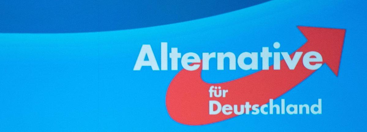 AfD - Acht Fakten, Die Sie über Die Partei Wissen Sollten