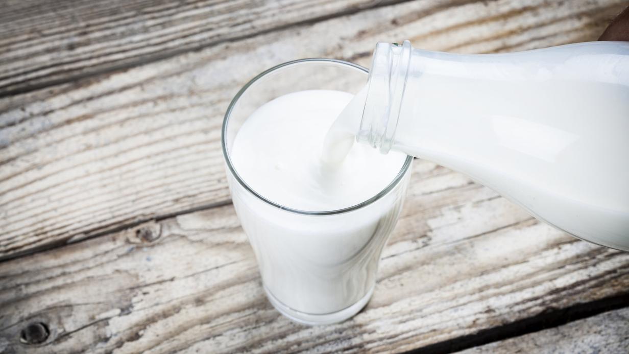 Warum ist Milch weiß und Butter gelb?
