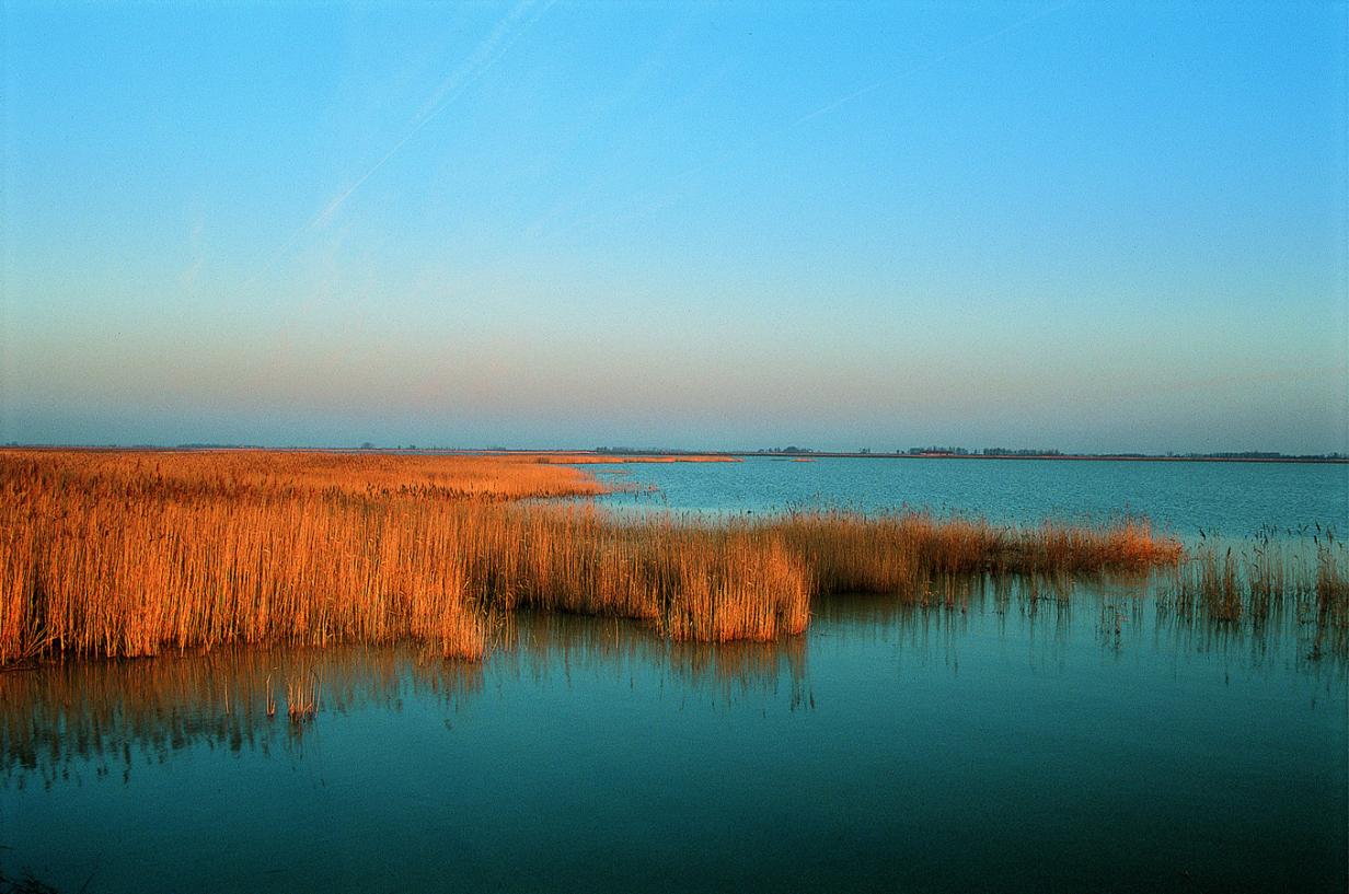 15 Fakten über Den Neusiedler See