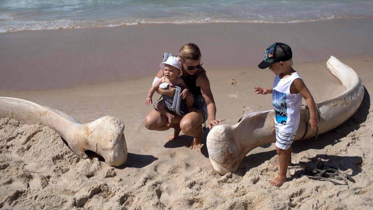 Er War Der Weißeste Mann Am Strand