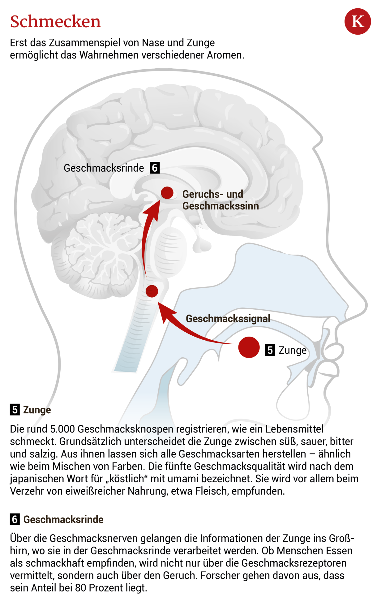 Wie der Geruchssinn unsere Stimmung beeinflusst | kurier.at