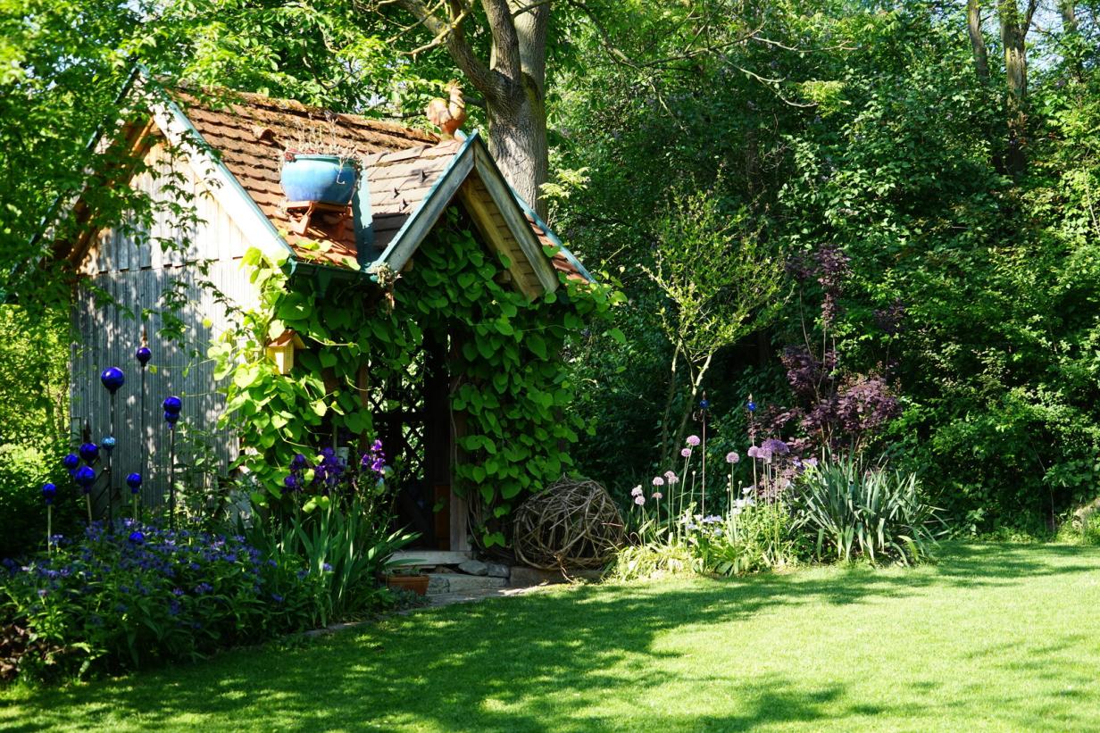 Naturgarten gestalten In fünf Schritten zum wilden Garten