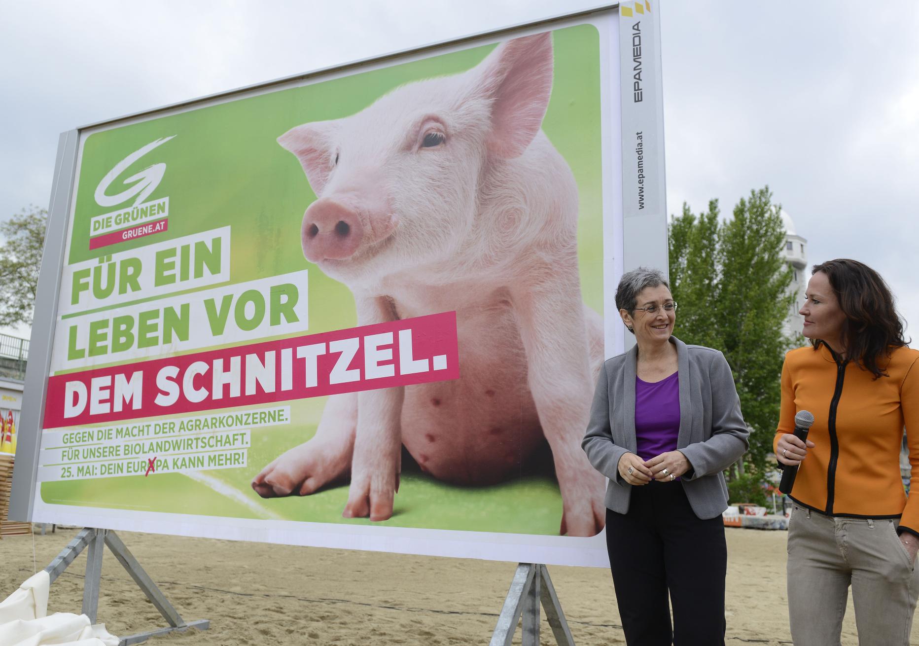 Die Grünen und ihre Wahlplakate