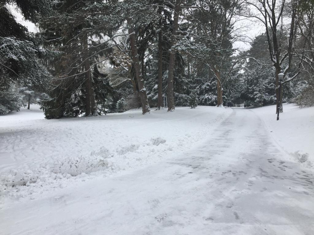 Bleibt Schnee Bei 1 Grad Liegen