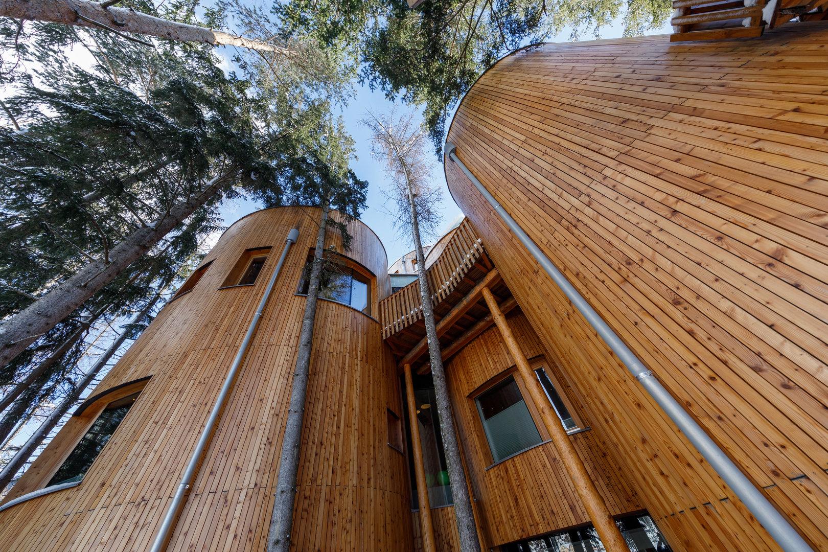 Ganz nahe der Natur: Schlafen zwischen Himmel und Baumwipfeln | kurier.at