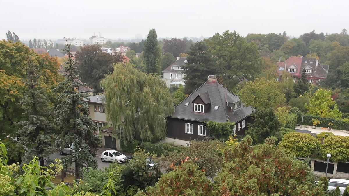 PeterAlexanderVilla Versteigerung wurde GeheimMission