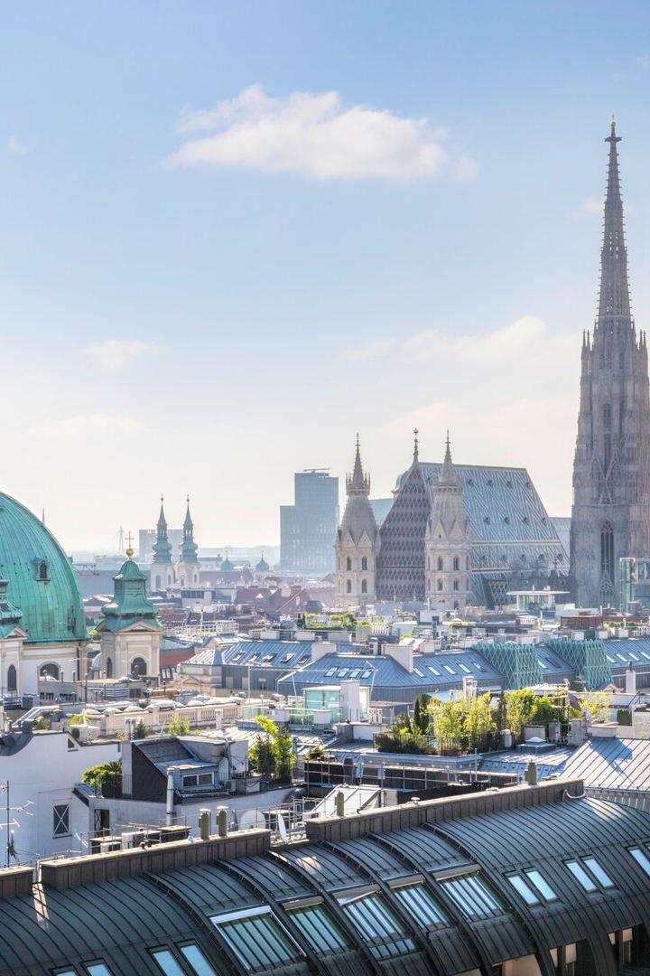 Die Skyline von Wien zeigt den Stephansdom und andere historische Gebäude unter blauem Himmel.