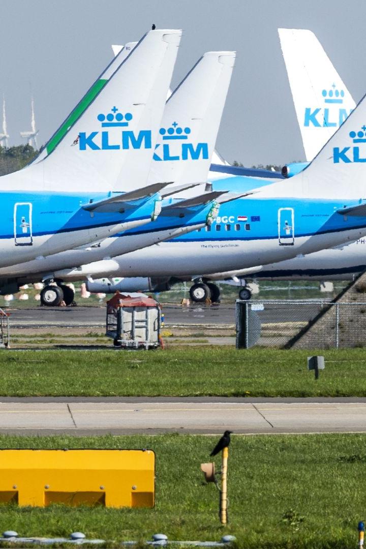Mehrere geparkte KLM-Flugzeuge mit blau-weißer Lackierung auf einem Flugfeld.