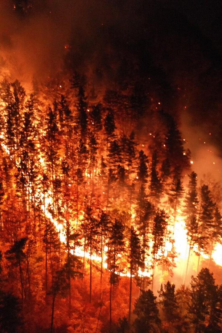 Ein Waldbrand breitet sich in der Nacht über einen bewaldeten Hügel aus.