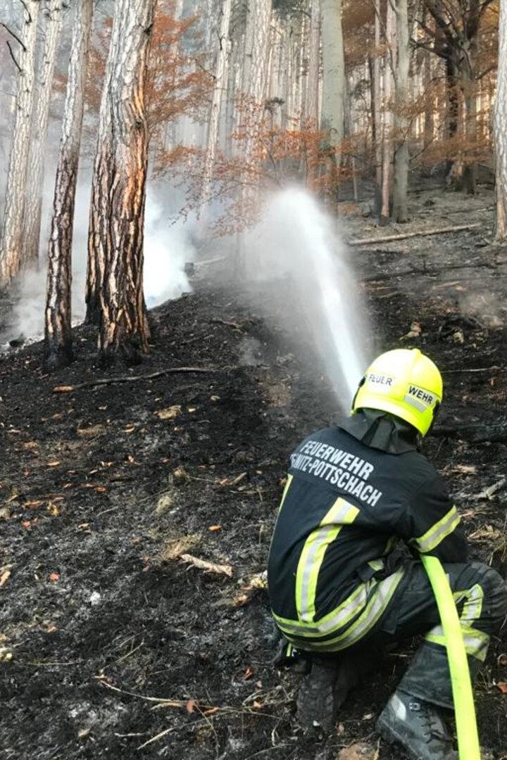 Der Waldbrand 2021 zerstörte 115 Hektar Wald