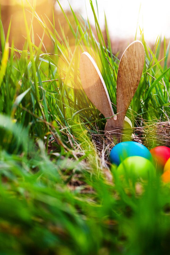 Easter eggs in a spring meadow