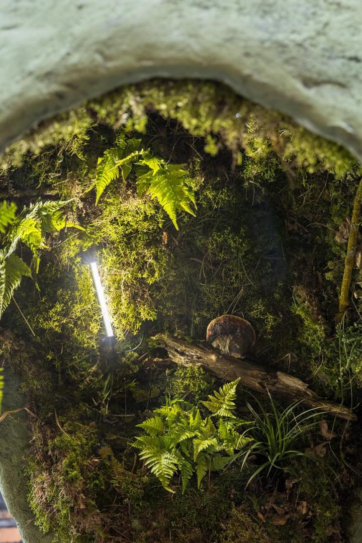 Wälder filtern Wasser und Luft, bieten Lebensraum, Ressourcen und Nahrung für zahlreiche Arten und tragen zur Stabilisierung des Klimas bei.