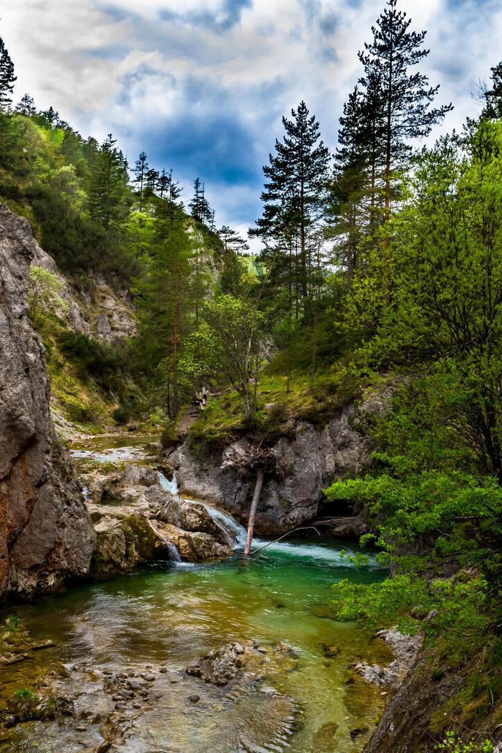 Unwetterfolgen in Niederösterreich: Beliebte Ausflugsziele gesperrt