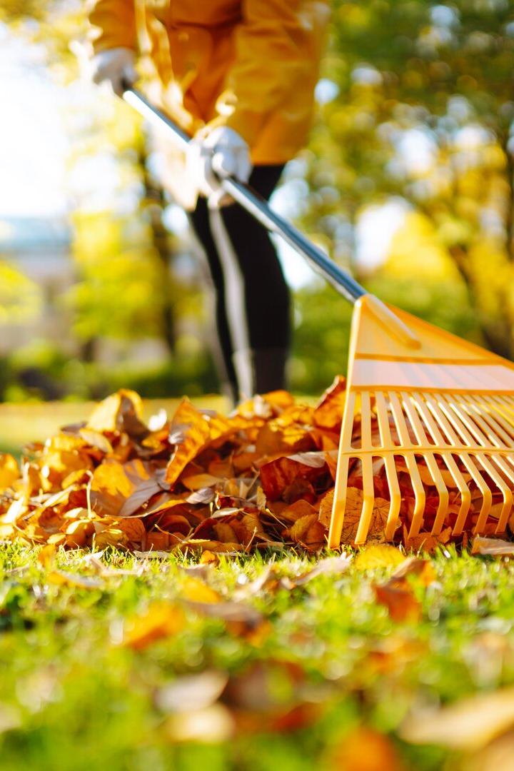 Der winterfitte Garten: 10 Arbeiten, die jetzt erledigt werden sollten