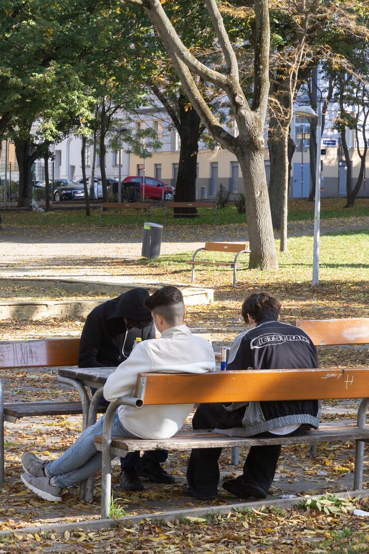 Ein Park im Herbst mit spielenden Kindern und sitzenden Jugendlichen.