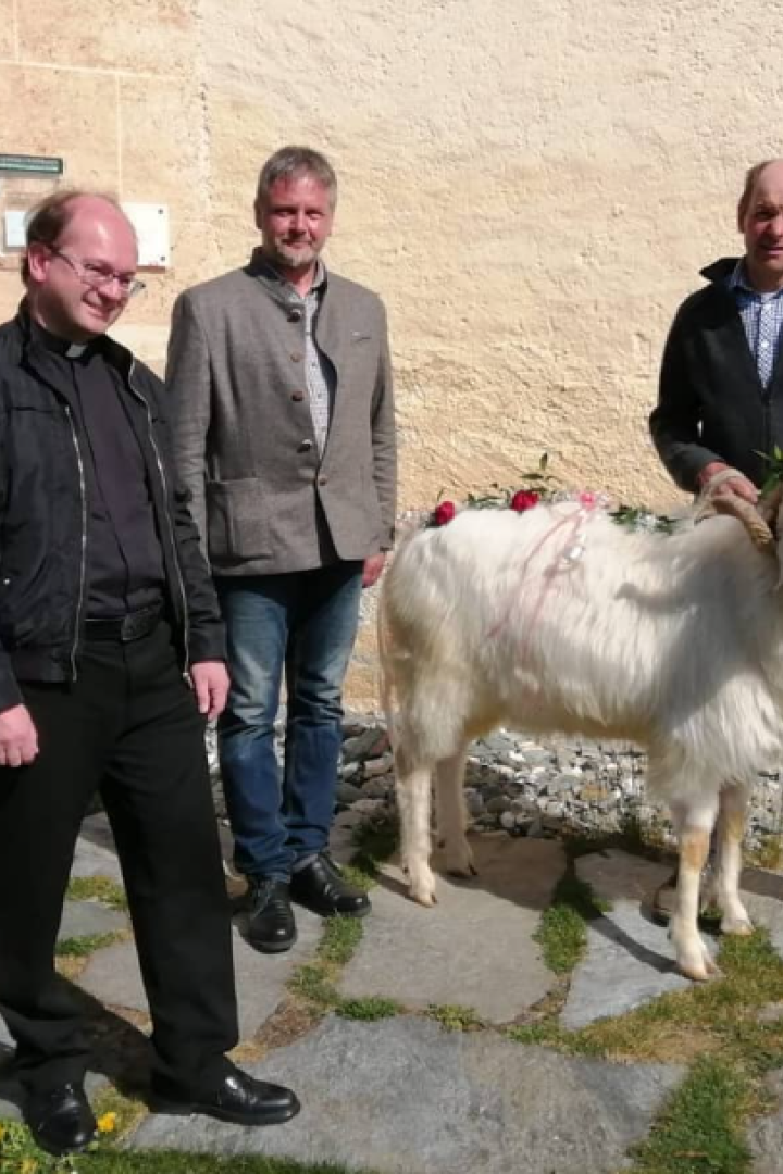 Widder-Wanderung in Osttirol: Das bedeutet der Osterbrauch