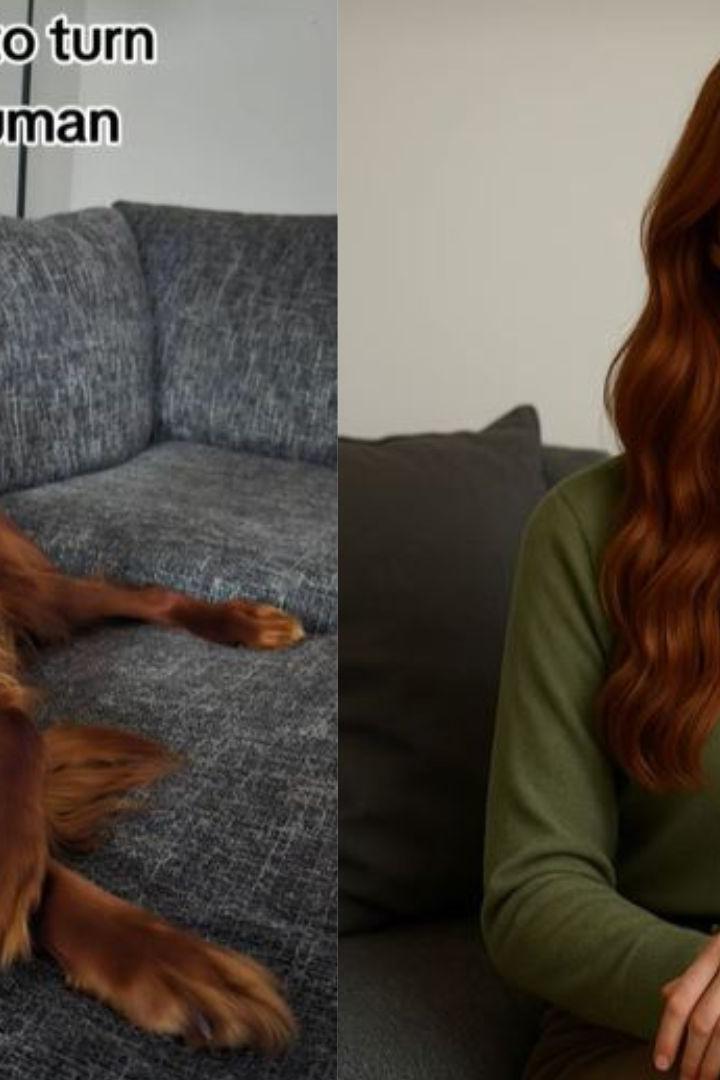 Hund auf einer Couch daneben einen Frau mit roten Haaren im grünen Langarmshirt