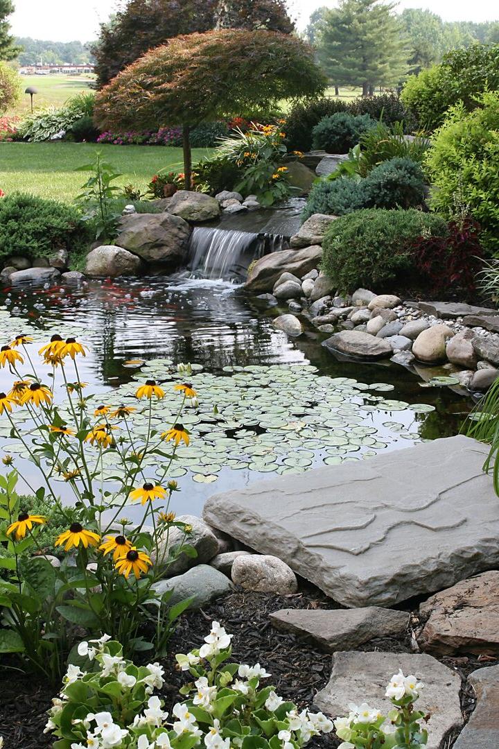 the perfect backyard