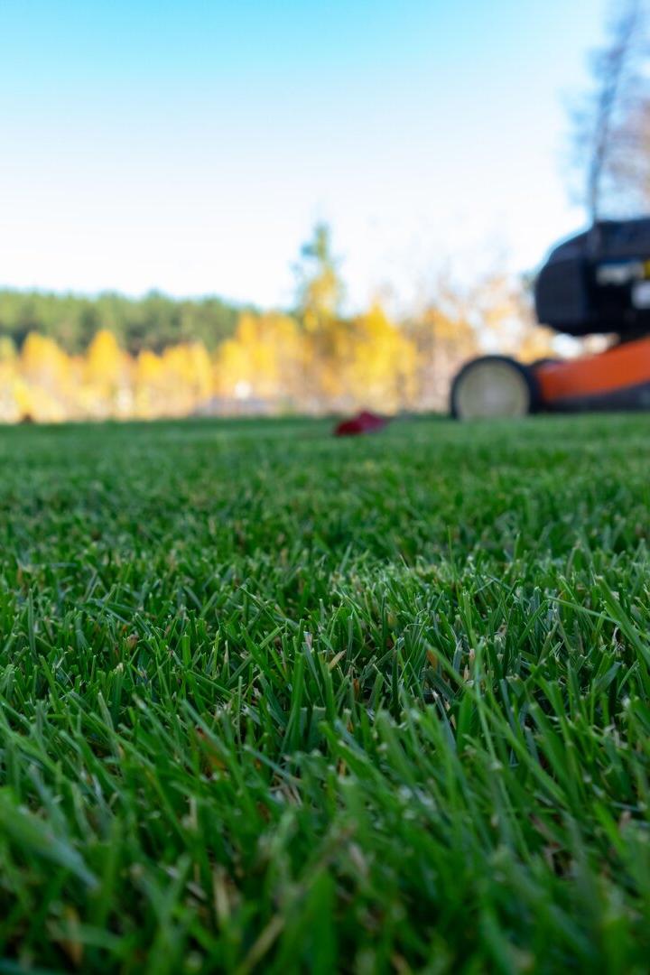 Autumn season, lawn mowing in the garden.
