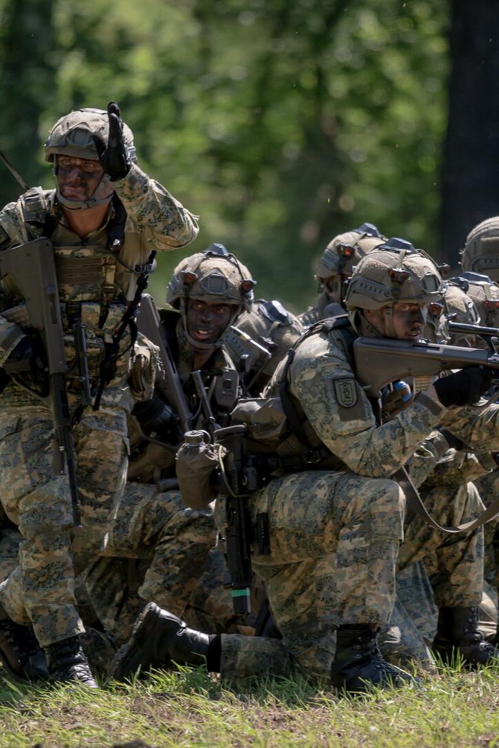 Austrian Armed Forces conduct military exercise at Allentsteig