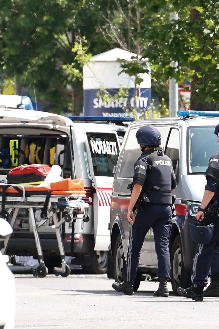 At least 9 dead in Austrian school shooting