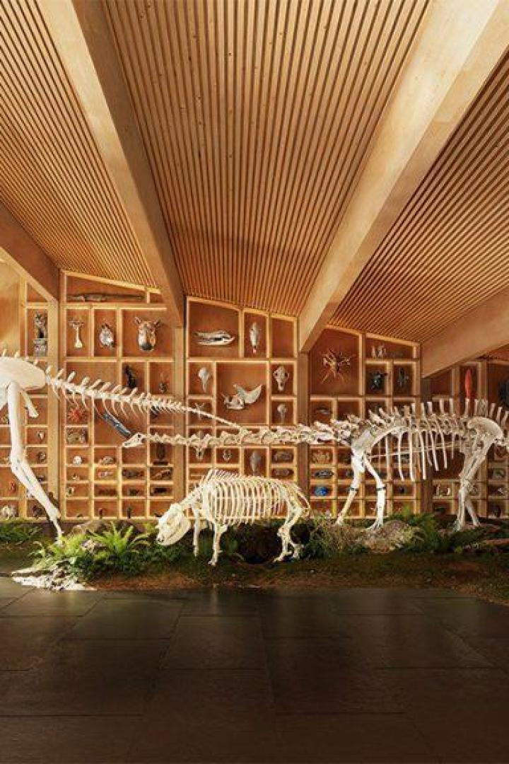 S_24322_COMPETITION_RENDERING_EVOLUTION_OF_SPIECES-1024x576