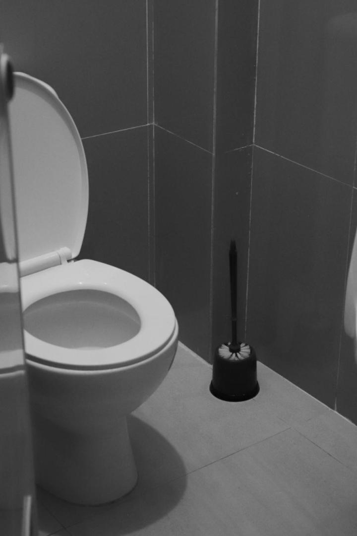 Schwarzweiß-Foto einer Toilette mit Klobürste
