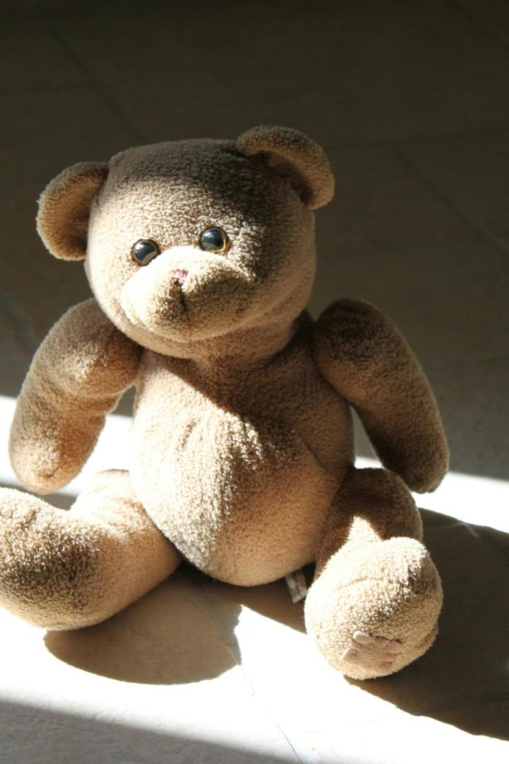 Teddybär sitzt im Sonnenlicht am Boden