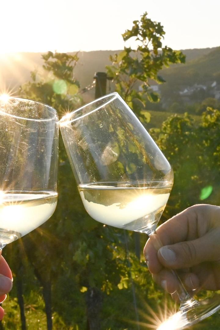 Gefüllte Weingläser, die anstoßen, vor der Kulisse der Weinberge.