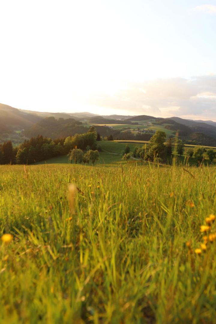 Hügelige Landschaft im Mühlviertel