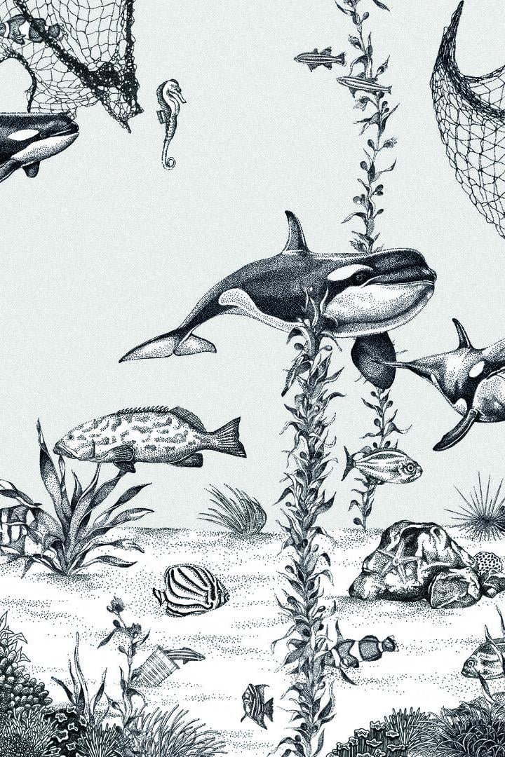 Mehrere Orcas und verschiedene Fische schwimmen zwischen Algen und Korallen, einige Fische sind in Fischernetzen gefangen.