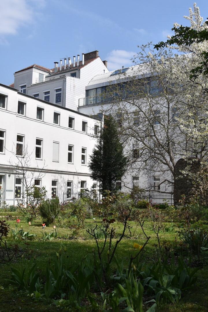 Die Katholisch Pädagogische Hochschule zieht in die Lacknergasse. Der große Garten bleibt auch nach dem Umbau erhalten.