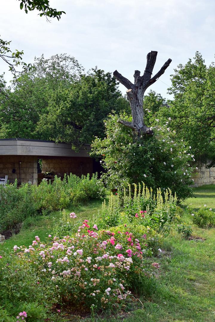 Haus Gruber von Architekt Roland Rainer in St. Margarethen.