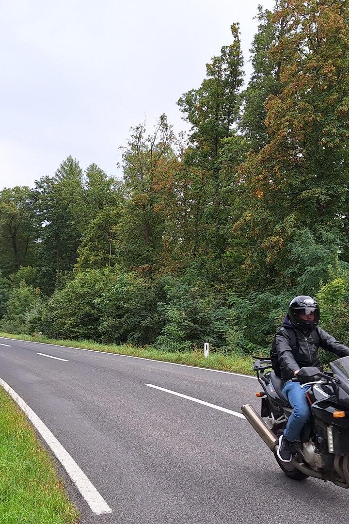 Das Ende von Scheiblingstein ist der Anfang von Wien. Allerdings nur drüben im Wienerwald (auf der rechten Seite).