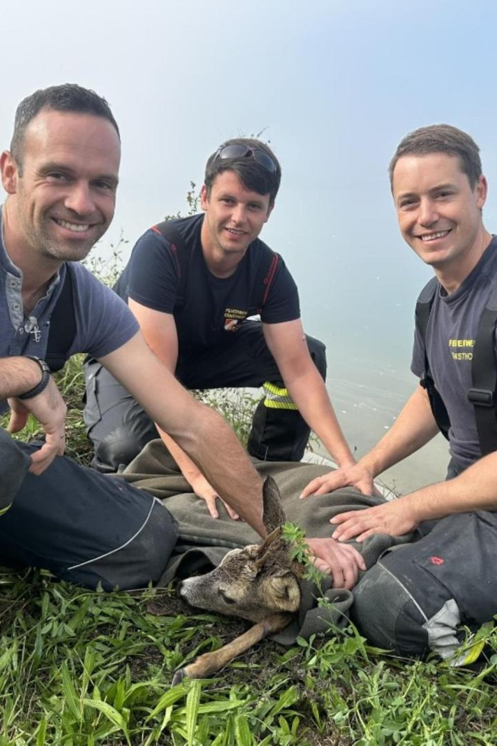 Tierrettung Ernsthofen