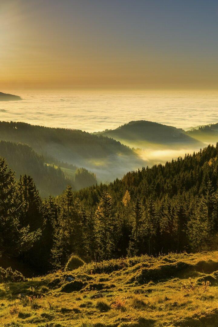 Die Sonne scheint über eine Hügellandschaft, die von Nebel bedeckt ist.