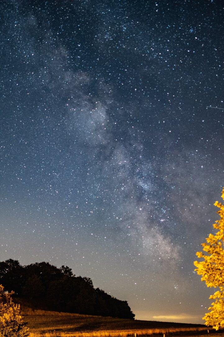 Herbstlicher gelber Baumleuchtet im Nachhimmel