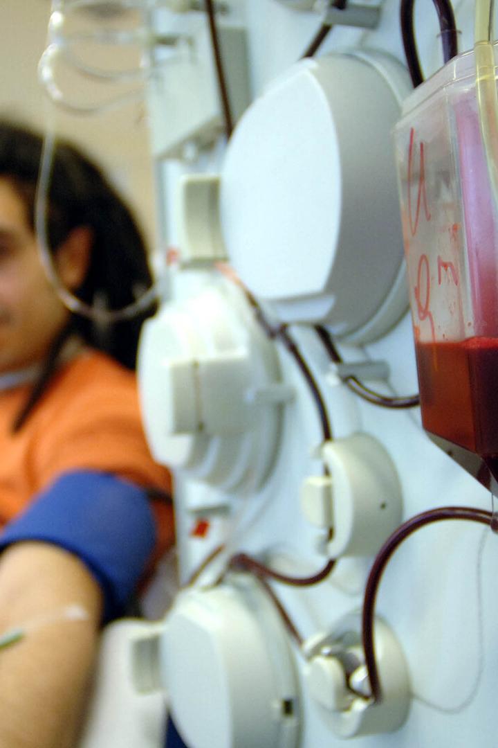 Ein Mann spendet Blutplasma, während das Blut durch Schläuche in eine Maschine und einen Behälter fließt.