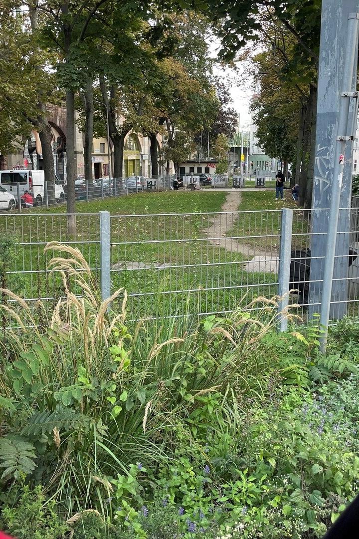 Zwei Männer blicken mit dem Rücken zur Kamera in eine Hundezone, wo sich zwei Menschen einen Schuss setzen.