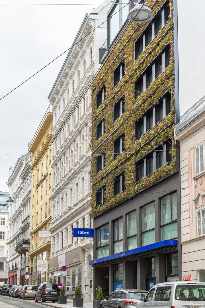 Fassadenbegrünung  beim Hotel Gilbert in Wien Neubau.