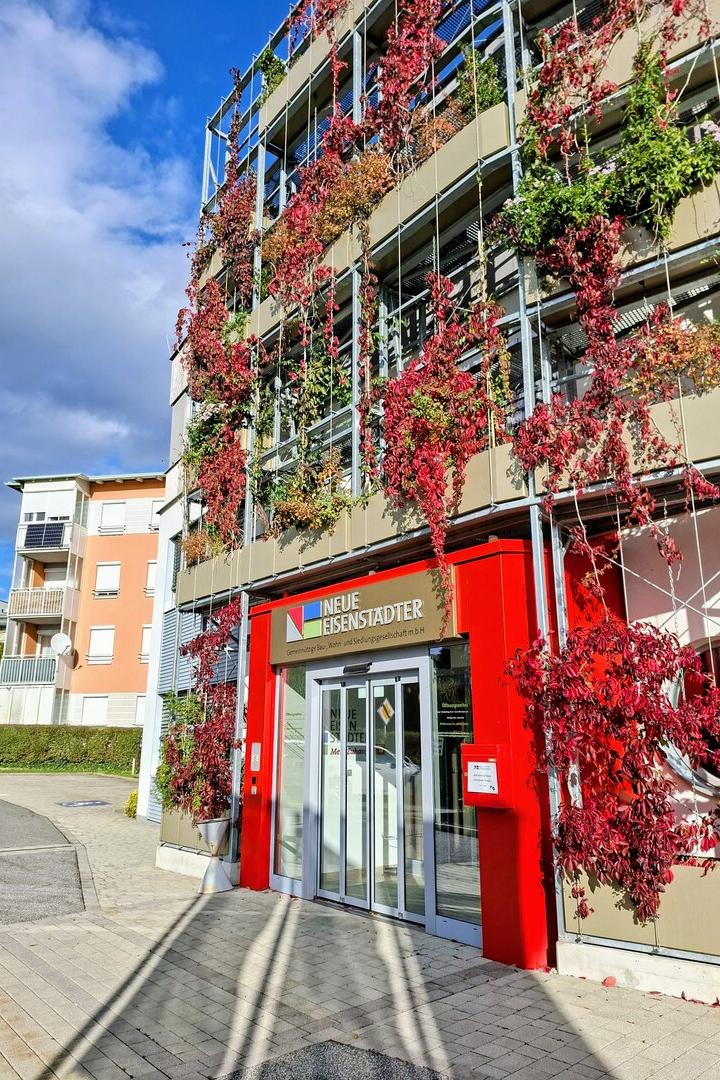 Neue Eisenstädter, gemeinnützige Wohnbaugesellschaft
