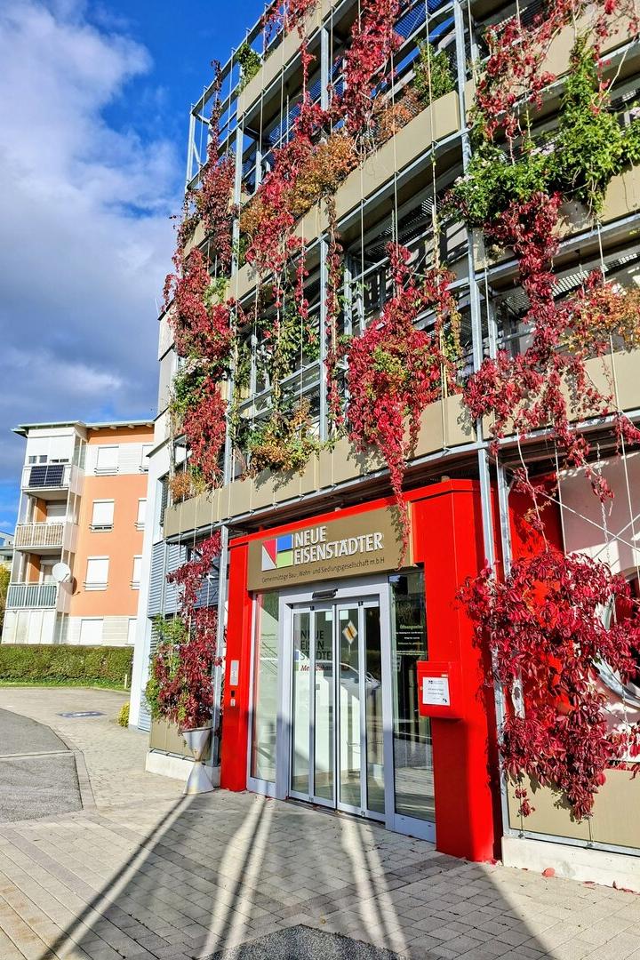 Neue Eisenstädter, gemeinnützige Wohnbaugesellschaft