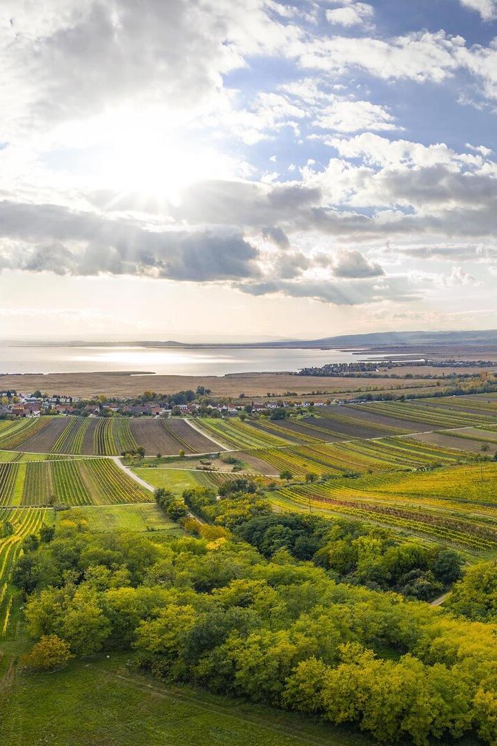 Landschaft in der Region Neusiedler See
