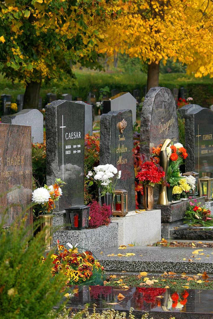 Herbstliche Farbenpracht dank liebevoller Grabpflege am Friedhof Stammersdorf.