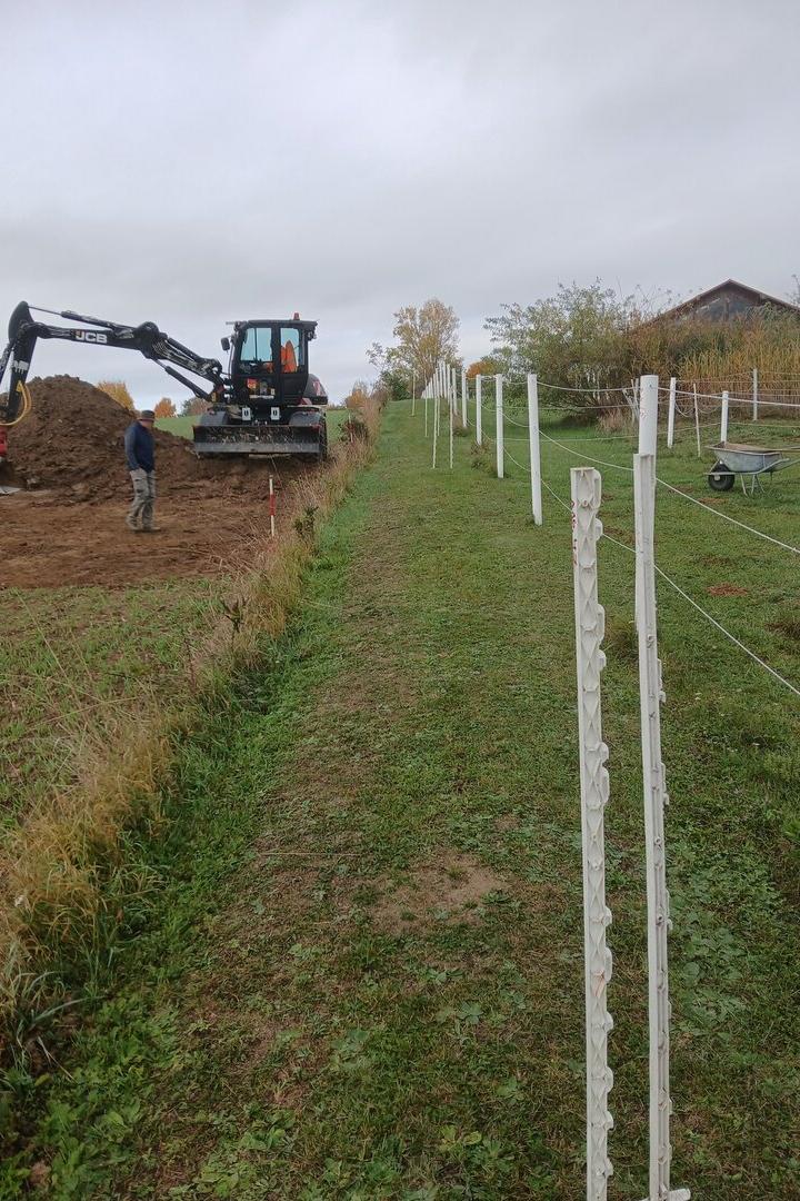 Ein Bagger hebt Erde aus, während ein Mann daneben steht und ein eingezäunter Grasweg vorbeiführt.
